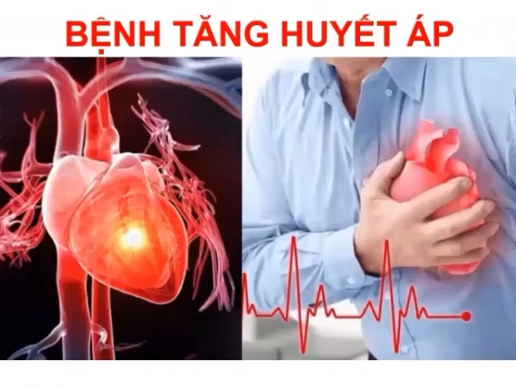 ✅ 03-94 Nhân sâm tác động lên hệ tim mạch