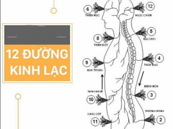 ✅ 1.2 Xoa bóp Bấm huyệt Điện xung